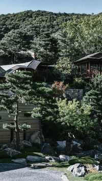 京城隱居 | 邂逅悉曇，遇見另一種生活