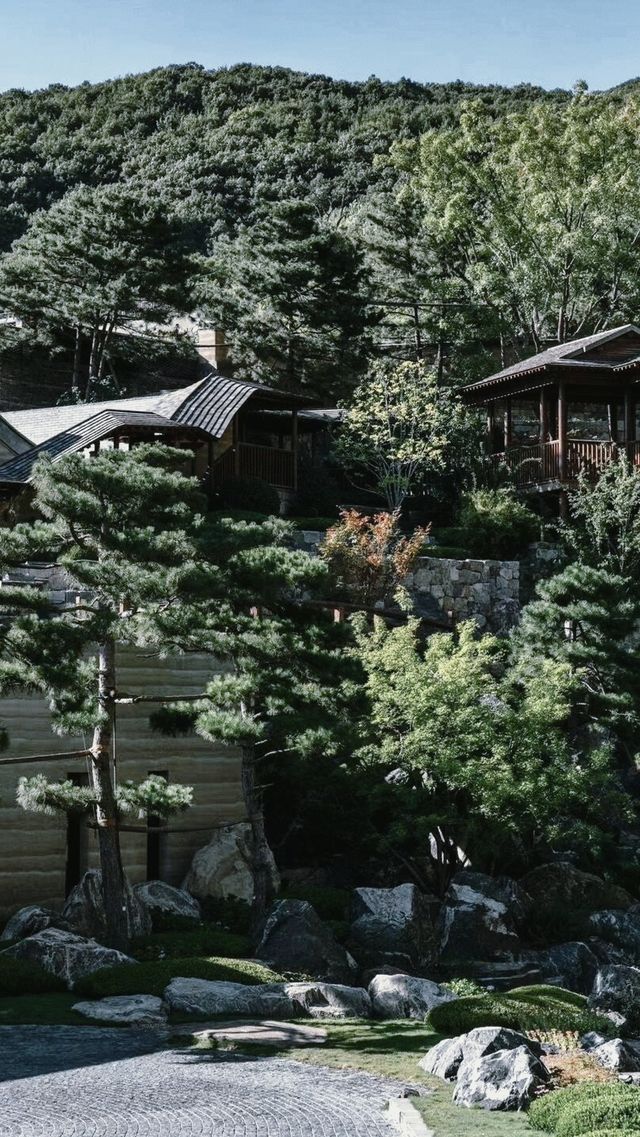 京城隱居 | 邂逅悉曇，遇見另一種生活