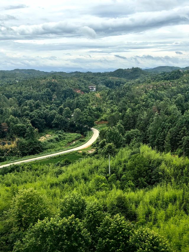 鄉土中國——高鐵沿途嘅風景（東南）