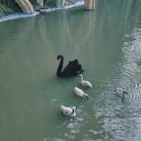 南通野生動物園