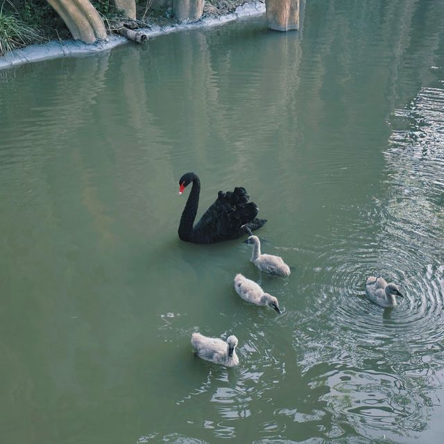 南通野生動物園