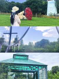 本以為蘇州已係江南頂流！直到我闖入揚州！