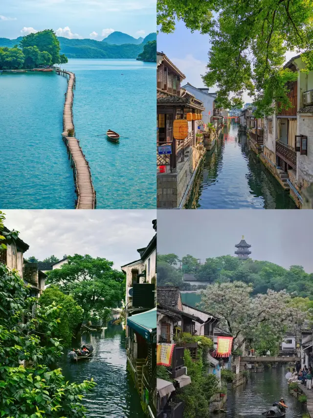 紹興已返,講啲難聽嘅大實話