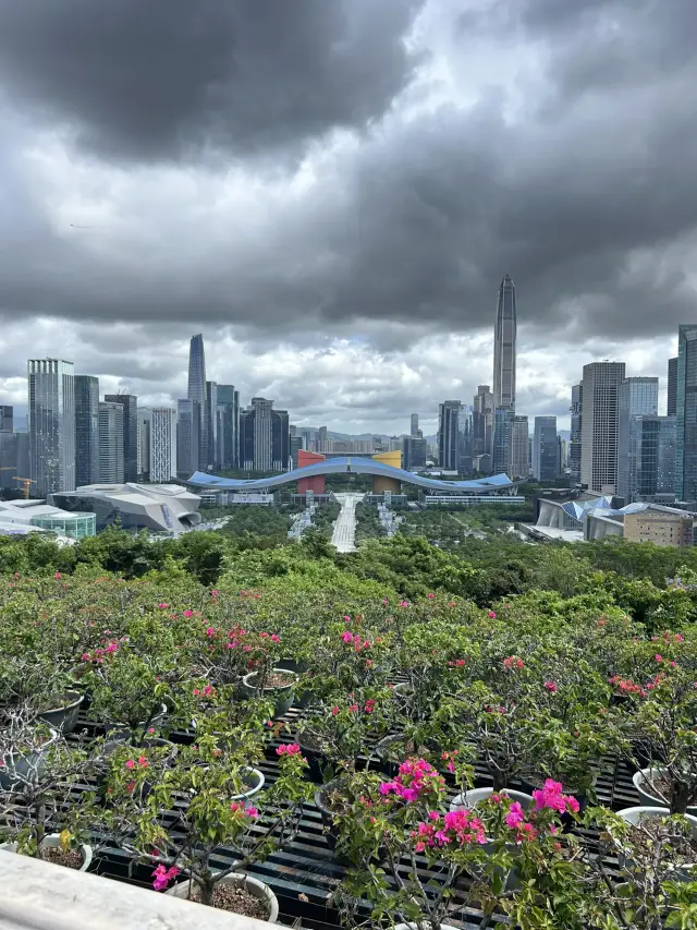 Lianhuashan Park - Shenzhen! 