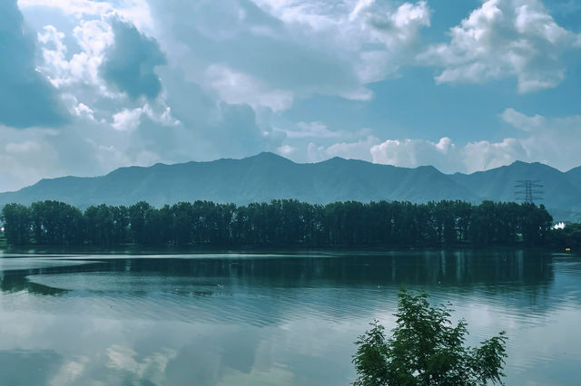富春江嘅夏天