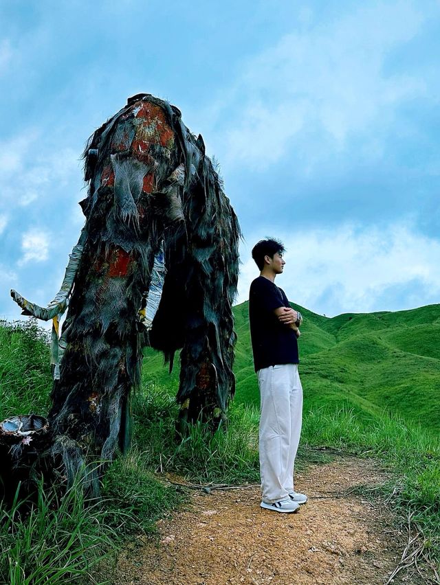 福建版「阿勒泰」！柘榮鴛鴦草場春節必去