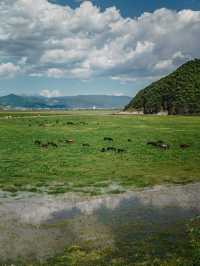 雲南香格里拉避暑秘境高山別莊香格里拉酒店