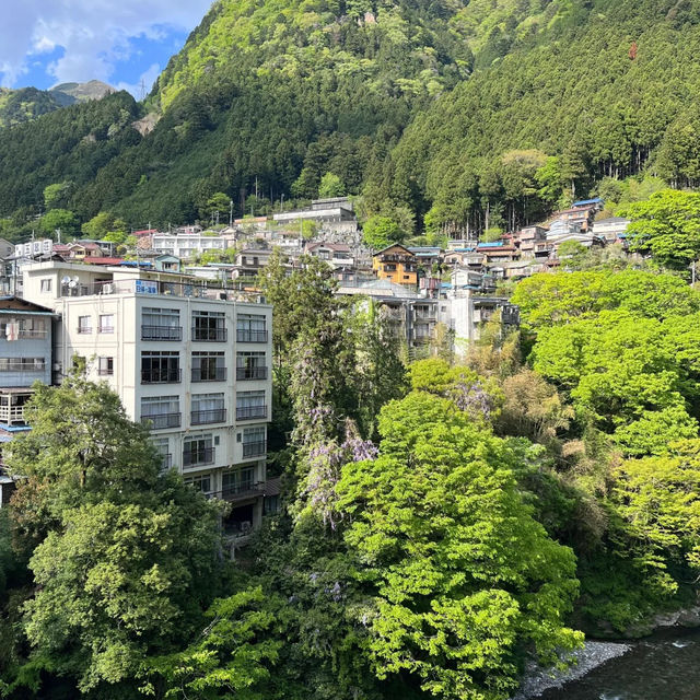 【東京近郊吸氧之旅！奧多摩溪谷+湖景徒步超治愈！】