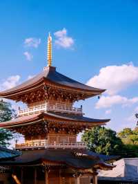 東京隱世秘境！探訪兩本門寺的千年禪意】**  
