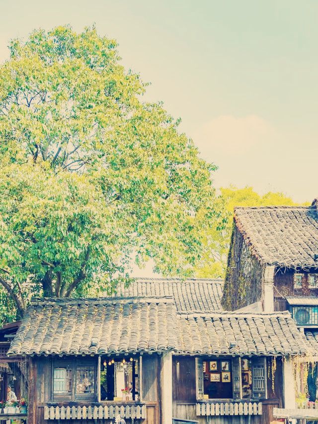 水鄉尋夢】烏鎮：千年江南的時光密碼*