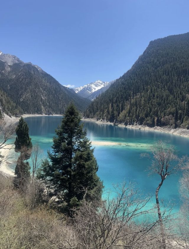 九寨歸來不看水，一生必赴嘅人間瑤池之約