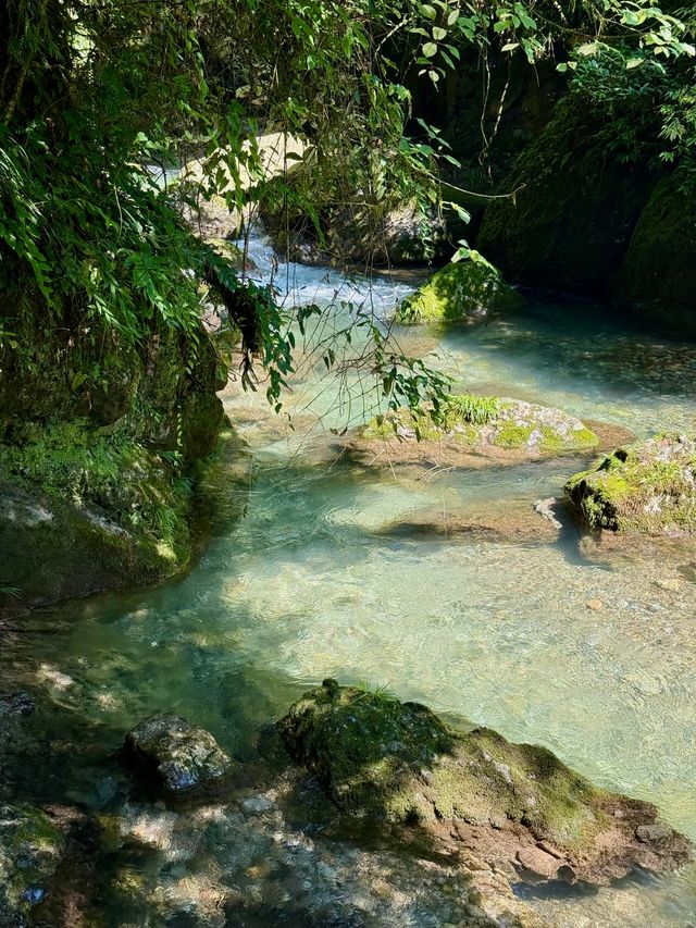 夏日消暑推介！青城後山玩水勝地週末快啲去打卡！