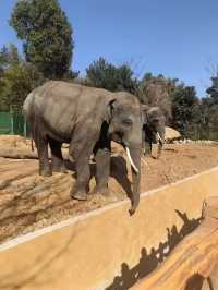 湖州龍之夢動物世界 | 沉浸式親子遊&動物探秘指南