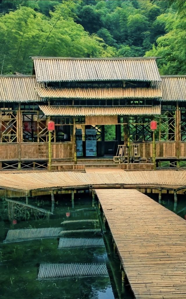 竹海盛景