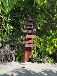 A Memorable Return to the Maldives