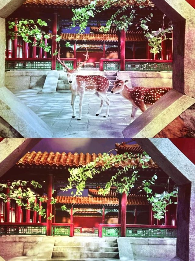 Amazing Hong Kong Palace Museum