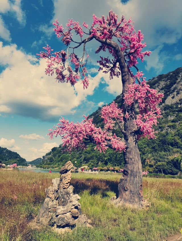 雲南普者黑 | 三生三世十里桃花同款打卡地必看避坑攻略！