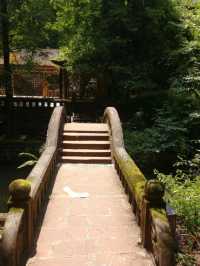 **重慶江津四面山兩日遊，山水秘境全攻略**