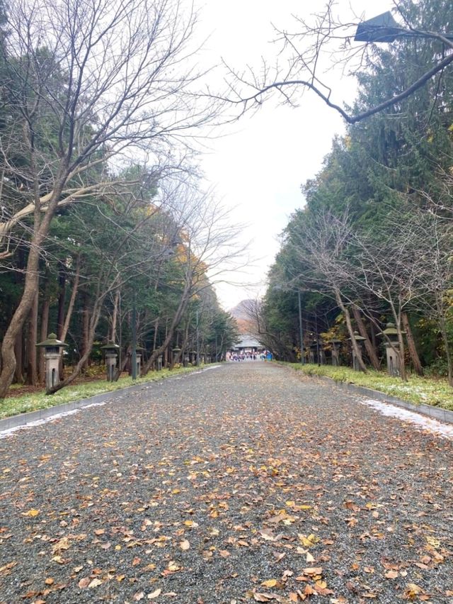 札幌秋景美食溫泉行程攻略🍁