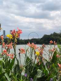 週末輕鬆徒步|順峰山公園9公里環湖路