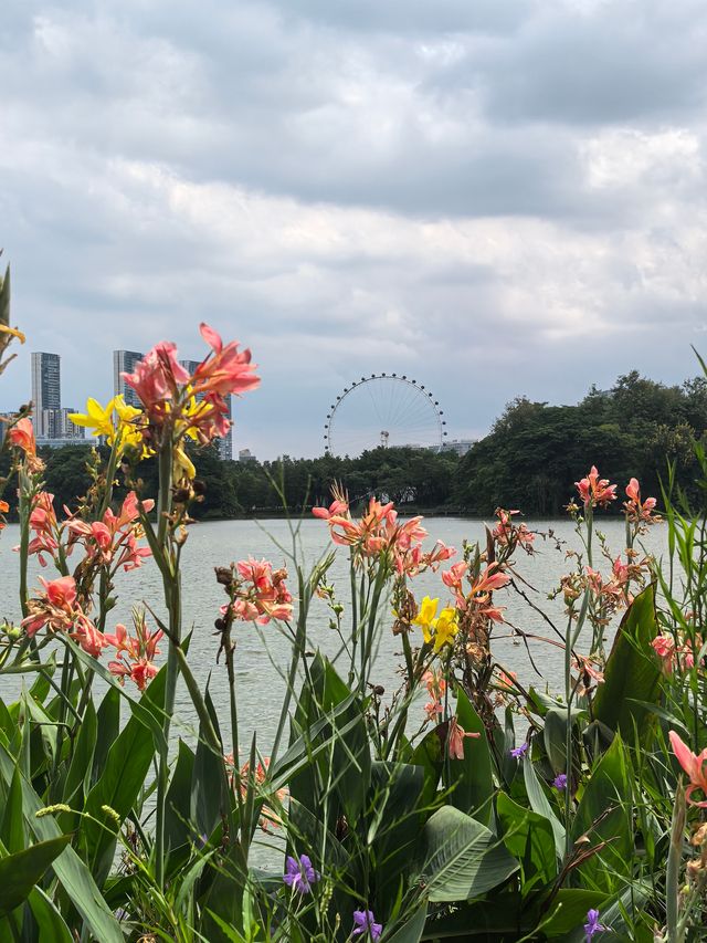 週末輕鬆徒步|順峰山公園9公里環湖路 週末輕鬆徒步|順峰山公園9公里環湖路