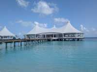 Memorable Stay at Safari Island