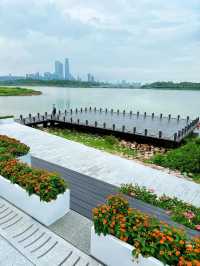 深圳灣必打卡絕美海景