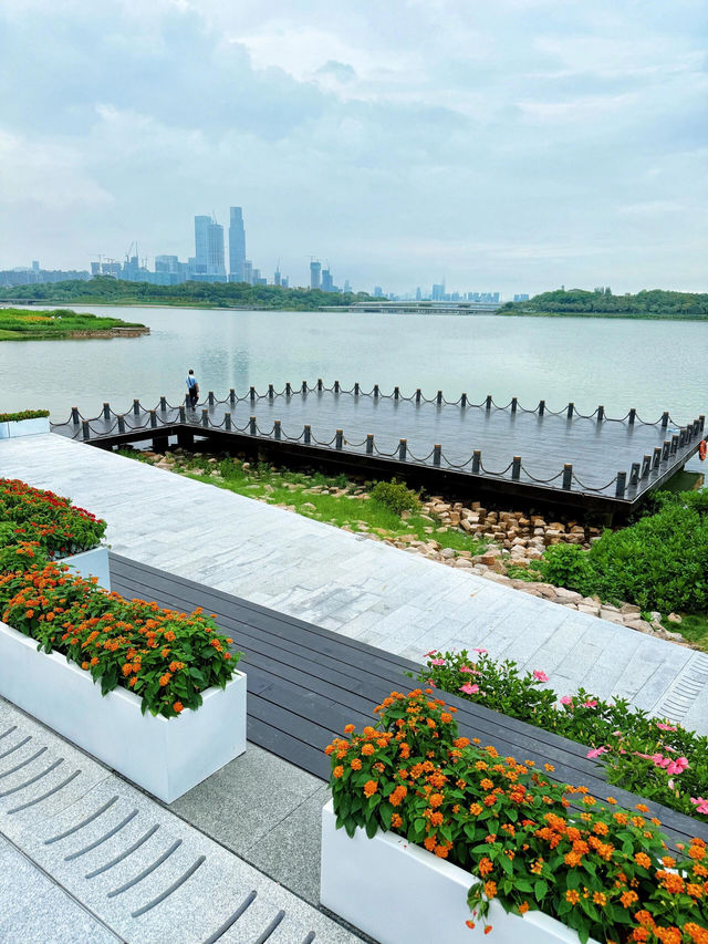 深圳灣必打卡絕美海景