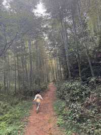 野放的一家|青山村徒步