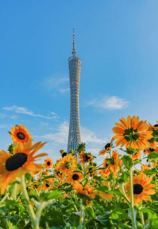 到底是誰說廣東沒有秋天的