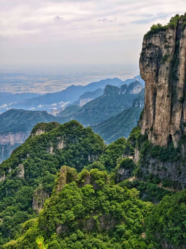 王莽嶺雲海仙境