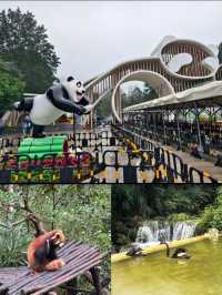 與閨蜜共赴熊貓谷，解鎖國寶奇遇，開啟一場浪漫旅行
