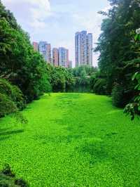 重慶寶藏公園 | 寶聖湖公園