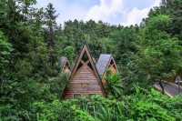 逃離城市計劃住進黃山絕美樹屋仙境