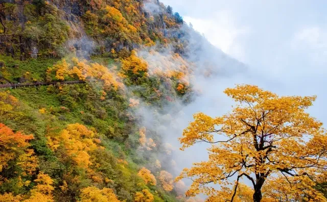 瓦屋山蘭溪絕壁棧道，真的巨巨巨巨巨好看！