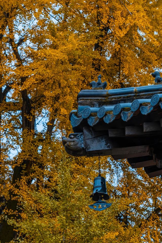 古觀音寺位於陝西省西安市長安區東大街道羅漢洞村，是一座歷史悠久的千年古剎。
歷史淵源
古觀音寺始建於