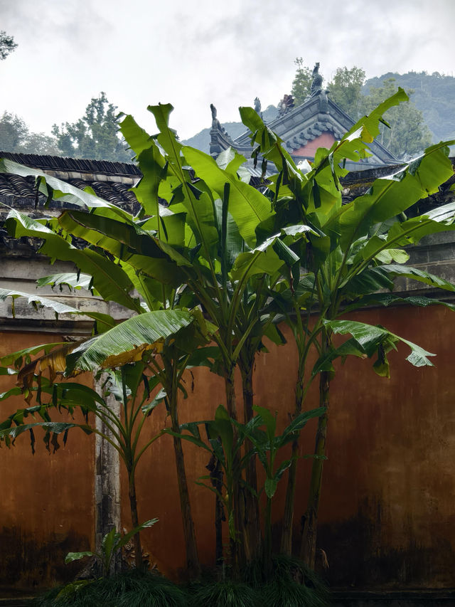 天台山秋意爆表！國清寺秋收盛景等你打卡
