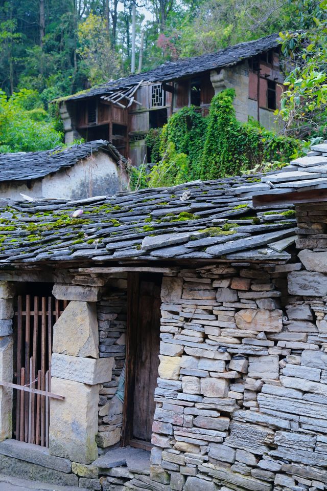 走進安順本寨：觸摸600年明代「活化石」的溫度