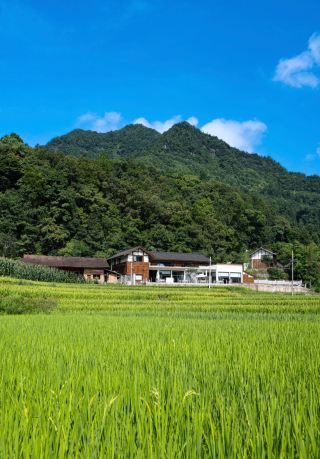 Vibrant life will surely bear abundant fruit! The autumn healing guide of this magical homestay in Guizhou