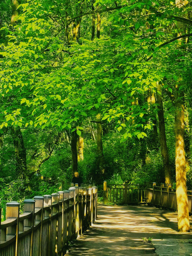 湘西人的私藏秘境這個「小九寨溝」也太絕了吧! 湘西人的私藏秘境這個「小九寨溝」也太絕了吧!