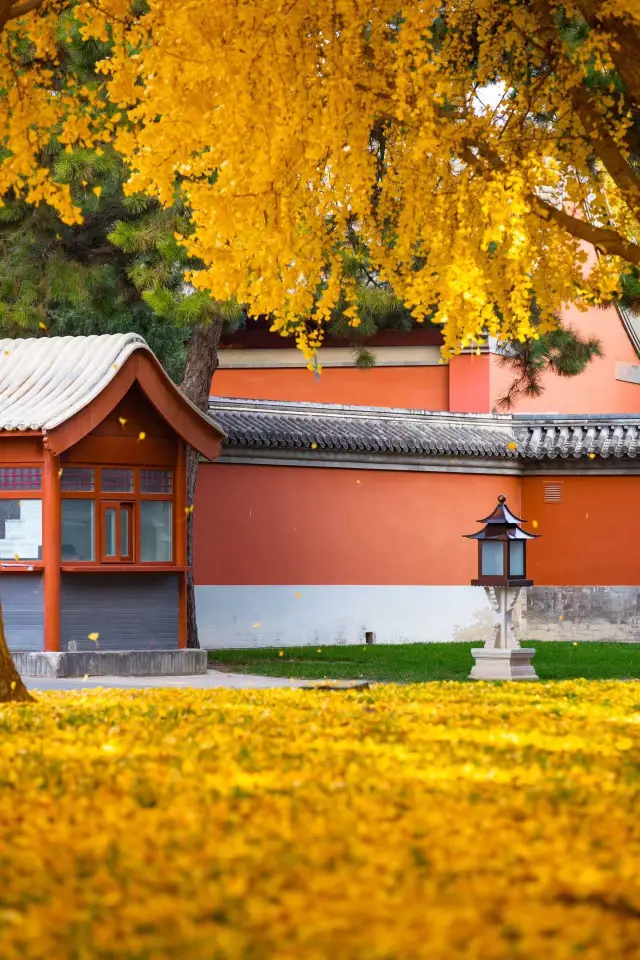 Whispers of Autumn, All at Huaqing Palace