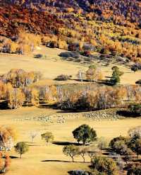 河北私藏!張北壩上3天2夜攻略,解鎖草原自由與避坑指南