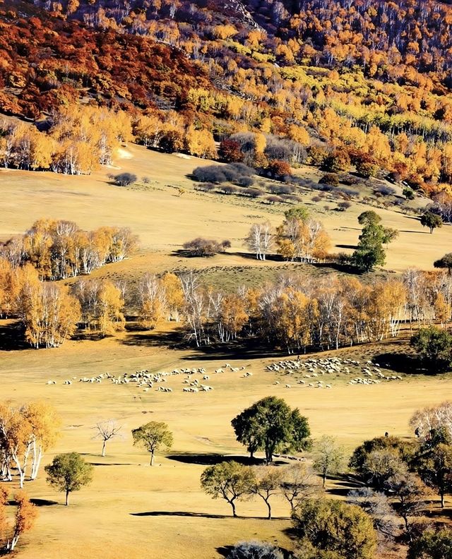 河北私藏!張北壩上3天2夜攻略,解鎖草原自由與避坑指南 河北私藏!張北壩上3天2夜攻略,解鎖草原自由與避坑指南