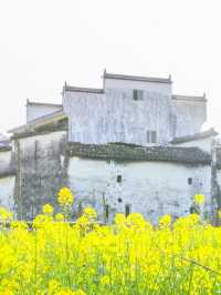 上饒1日包車遊這些地方美到失語