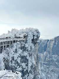 這裡不是阿凡達，是地球上的張家界！