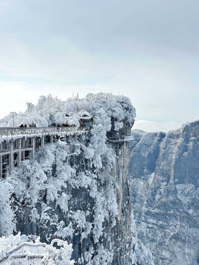這裡不是阿凡達，是地球上的張家界！
