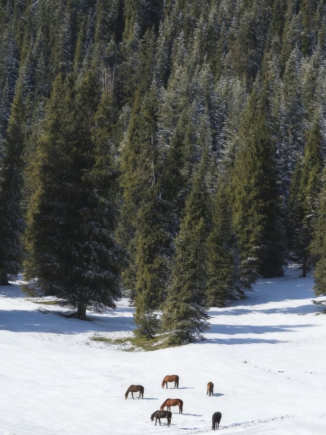 新疆夏塔:一日看盡冰川星空草原的絕美秘境 新疆夏塔:一日看盡冰川星空草原的絕美秘境