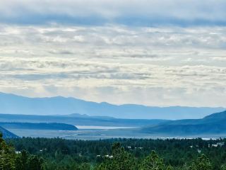 カリフォルニアの旅