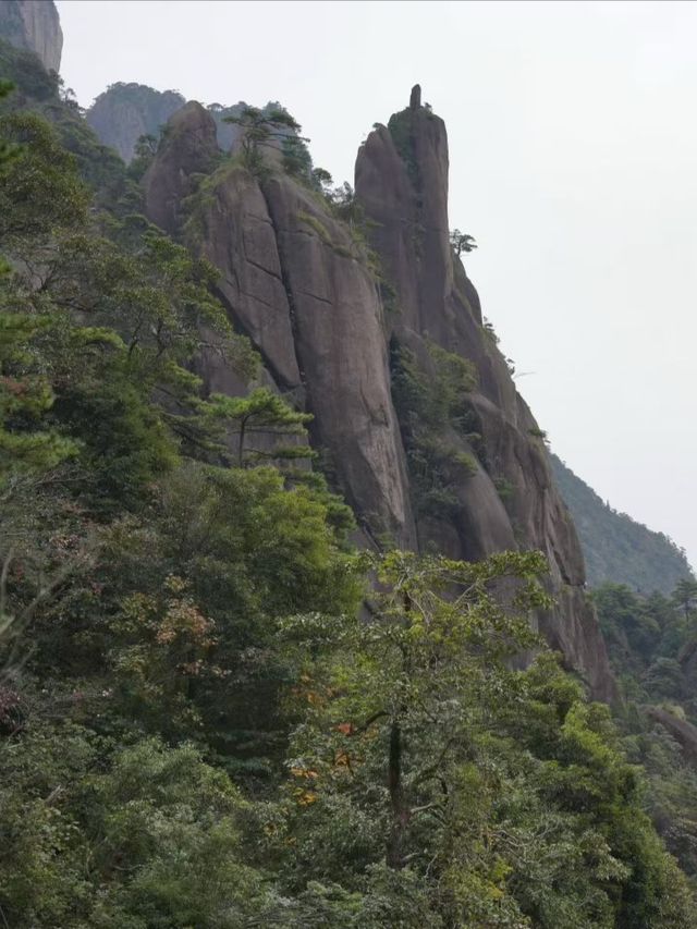 絕了！三清山的秋天美得不像話！雲海梯田爬山攻略