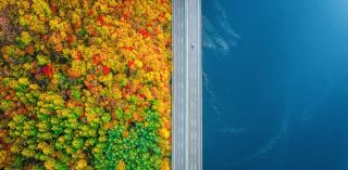 神仙出片的森林路